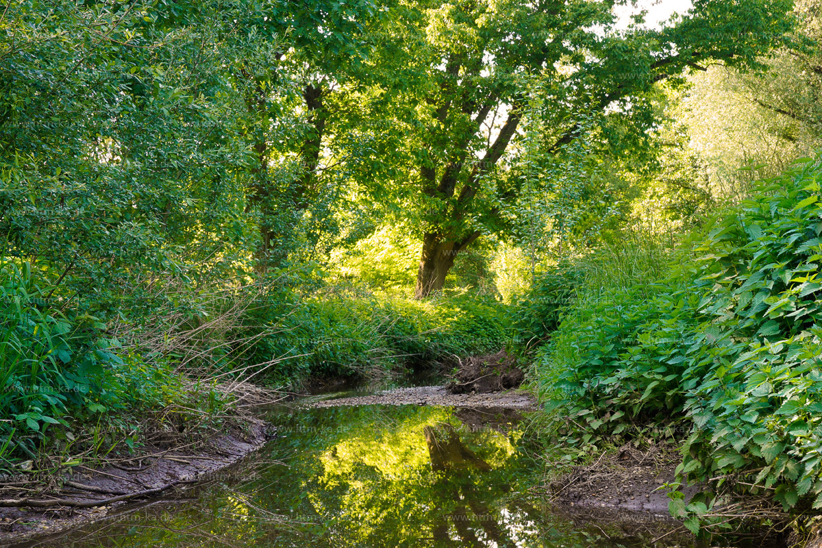 naturnaher Bach