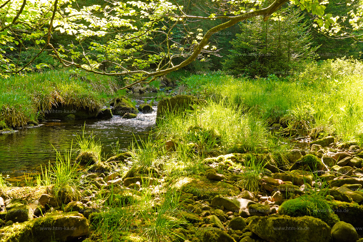 Waldbach