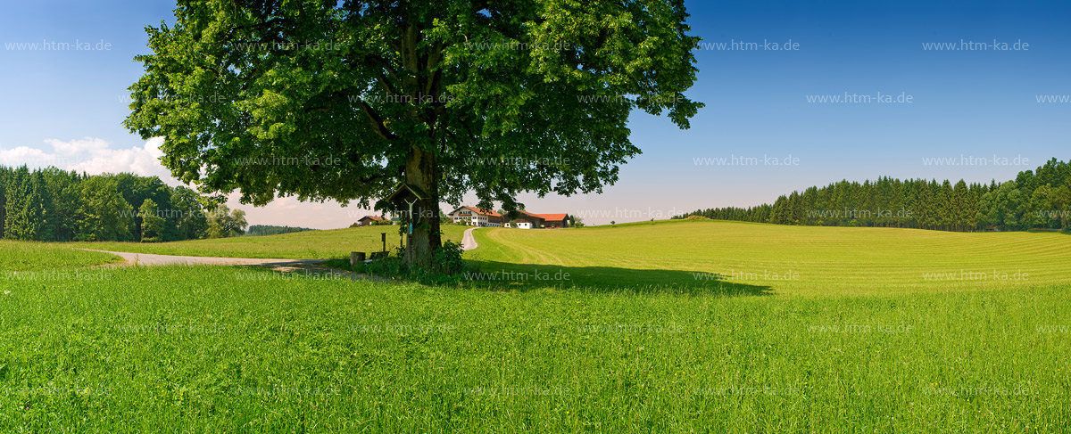 Bauernhof und Wiese