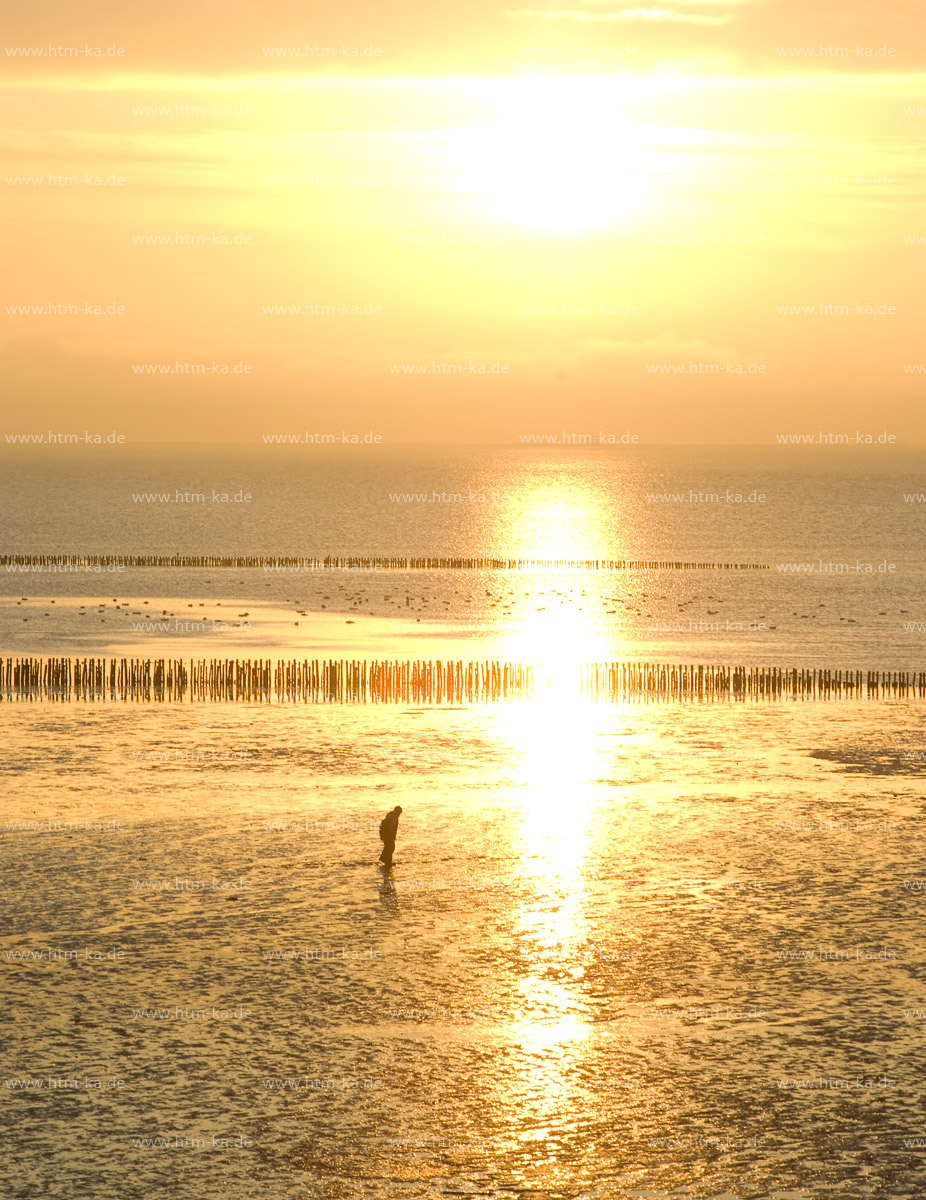 Nordsee, Watt im Sonnenuntergang