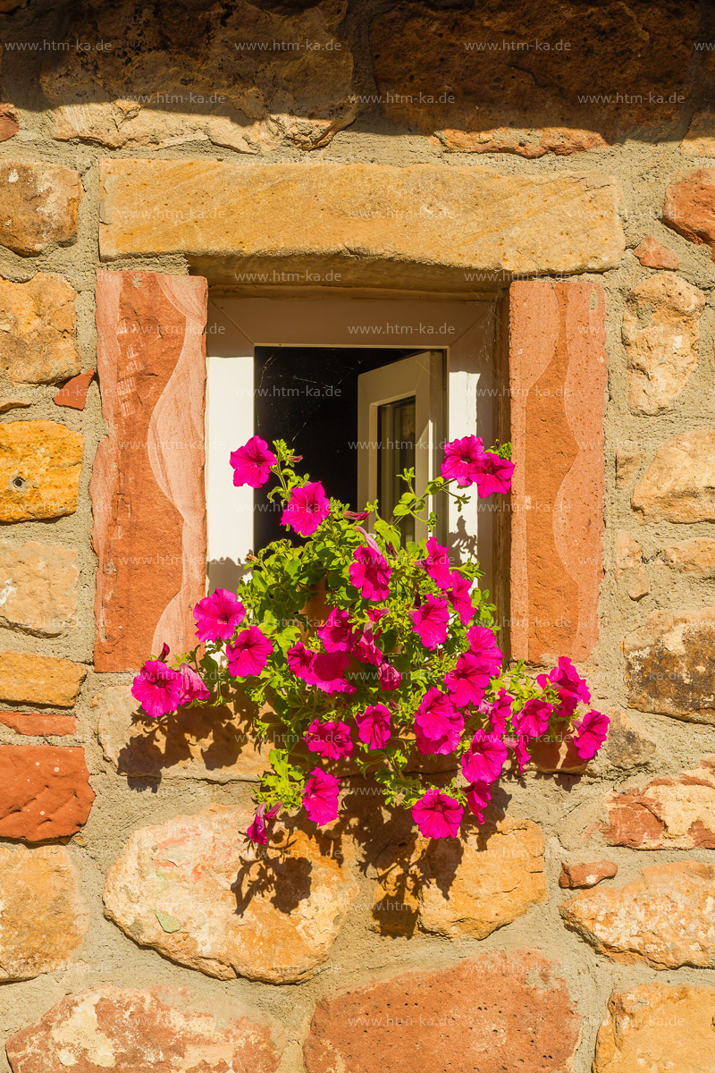 Begonien, Fenster, Buntsandstein