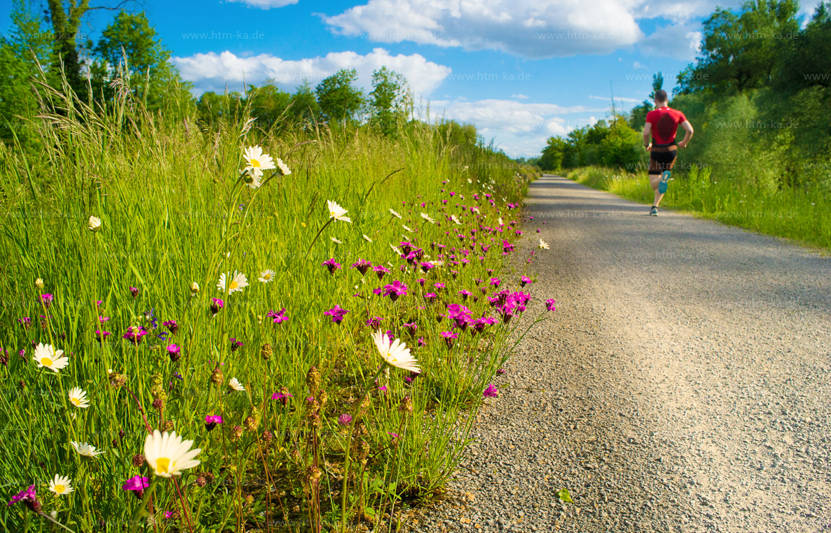 Jogger auf Rheindamm
