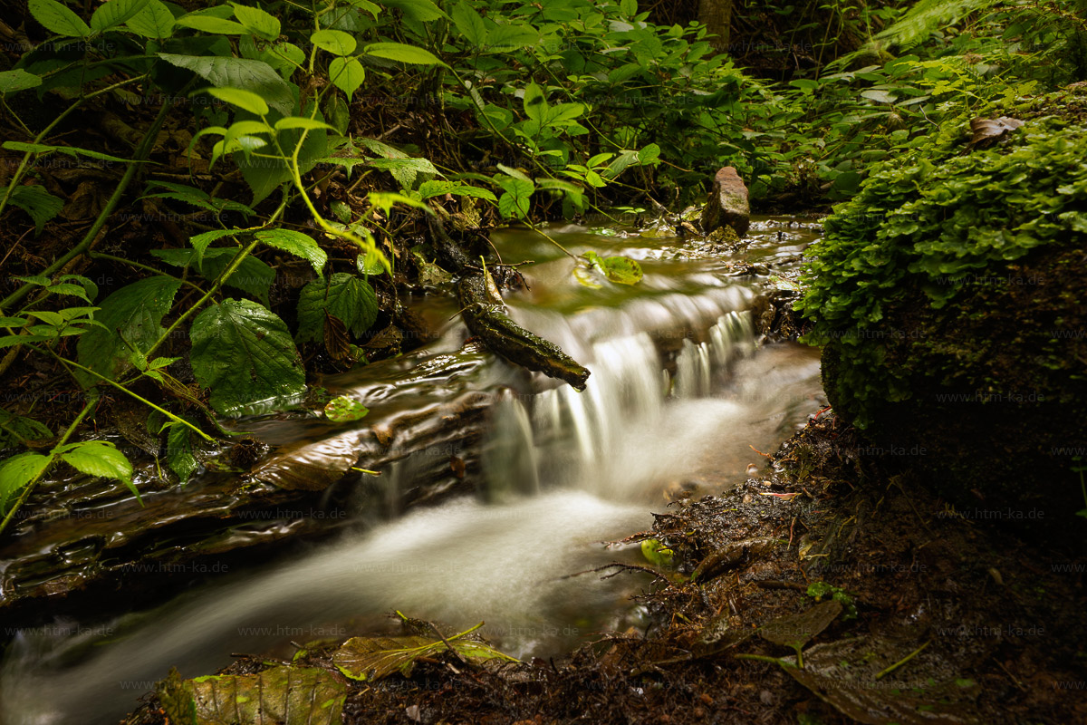 kleiner Bach im Wald, Waldbach