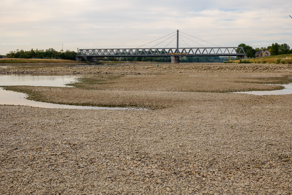 Dürre Trockenheit Niedrigwasser Rhein Karlsruhe