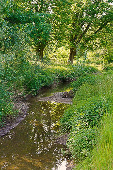 Bild vergrößern und Infos naturnaher Bach