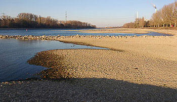 Bild vergrößern und Infos Rhein bei Niedrigwassser