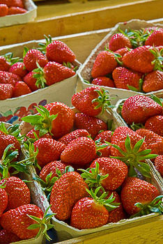 Bild vergrößern und Infos Erdbeeren