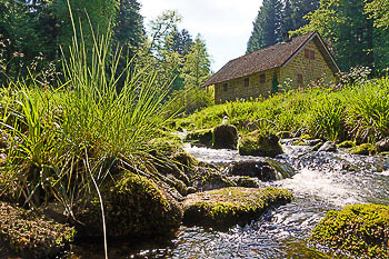 Bild vergrößern und Infos Hütte neben Gebirgsbach