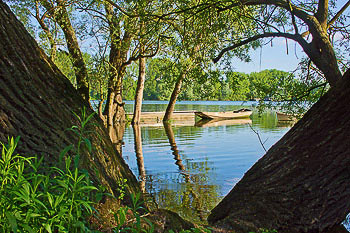 Bild vergrößern und Infos Altrein, Auwald, Baggersee