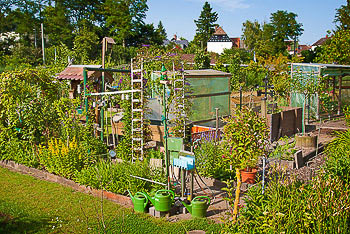 Bild vergrößern und Infos Schrebergarten