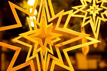 Bild vergrößern und Infos Weihnachtssterne