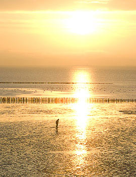 Bild vergrößern und Infos Nordsee, Watt im Sonnenuntergang