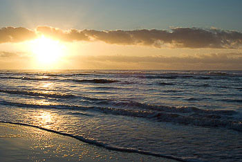 Bild vergrößern und Infos Nordseestrand