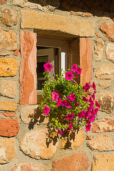 Bild vergrößern und Infos Begonien, Fenster, Buntsandstein