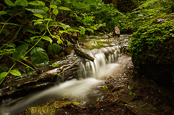 Bild vergrößern und Infos kleiner Bach im Wald, Waldbach