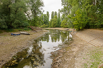 Bild vergrößern und Infos Dürre Niedrigwasser Rhein Altrheinauen