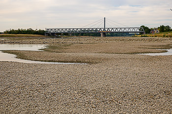 Bild vergrößern und Infos Dürre Trockenheit Niedrigwasser Rhein Karlsruhe